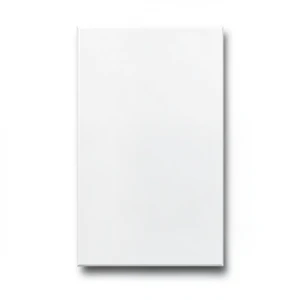 Ceramic Wall Tiles 20x43 cm Rectangle, White Color