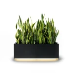 Rectangular Fiberglass Planter with LED Bottom Lighting