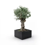 Square Fiberglass Tree Planter – Artistic Formation