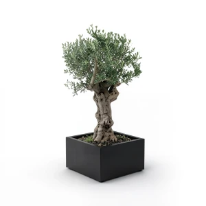 Square Fiberglass Tree Planter – Artistic Formation