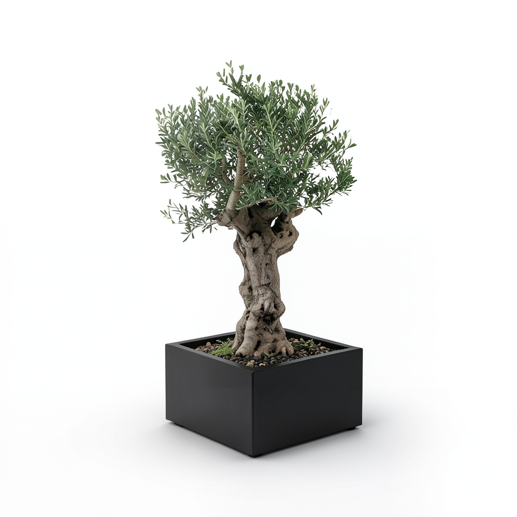 Square Fiberglass Tree Planter – Artistic Formation