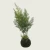 نبات زينة صغير صناعي، ابعاد 50×10 سم، لون اخضر