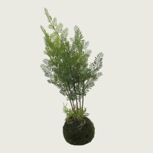 نبات زينة صغير صناعي 50×10 سم، لون اخضر | 
