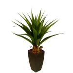 صبار أجاف صناعي بأبعاد 70سم، لون أخضر 