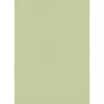 ورق حائط الماني لون اخضر، طول 10 م، عرض 0.53 م، موديل 07-10080