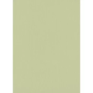 German Wall Covering Green Color Length 10 m Width 0.53 m Model 10080-07 | Balbaid Decor Company