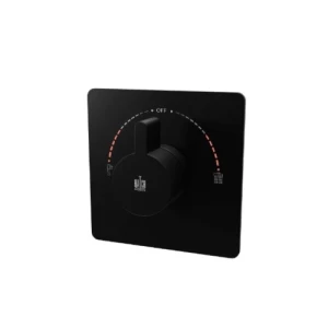 Two Way Shower Mixer 11.6×15×15 cm Matte Black | Hatch Company