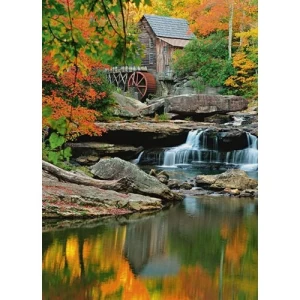 Mural Image Forest Design 183×254 cm Green Color | Balbaid Decor Company