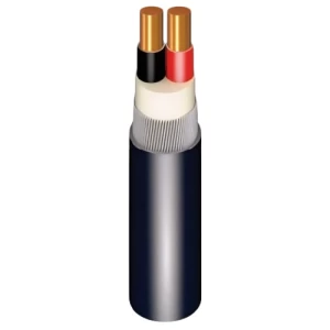 كابل كهرباء مسلح CU/XLPE/SWA/PVC نحاس مصمت 2×6 مم 0.6/1 كيلو فولت | مجموعة كابلات الرياض