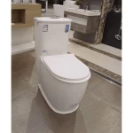  Floor Mounted WC Size 25 cm, White Color