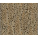 ورق جدران ايطالي لون بيج غامق تصميم نقشات، مقاس 10 م×0.70 م، موديل 14063