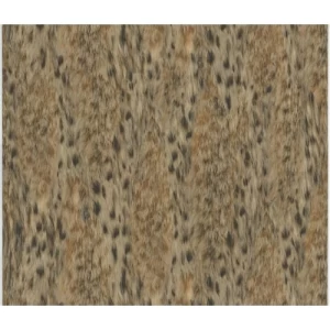 Italian Wallpaper Patterned Design Dark Beige, Size 10mx0.70m, Model 14063 | Balbaid Decor Company