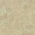 American floral wallpaper, size 10 m x 0.53 m, beige color, model EP6128  