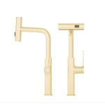 Pull-Out Kitchen Sink Mixer, Gold Color