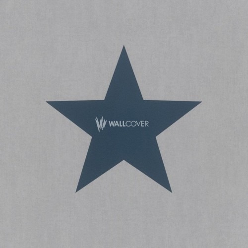 German Wall Covering Youth & Children 10m x 0.53m Gray, Model 248104 | Balbaid Decor Company
