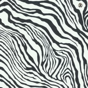 Italian Wallpaper 10mx0.70m White with Black Patterned Design, Model rc17065 | Balbaid Decor Company