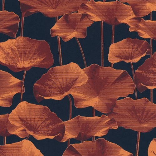 Belgian Floral Wallpaper 10m x 0.53m, Orange Color | Abyat Company