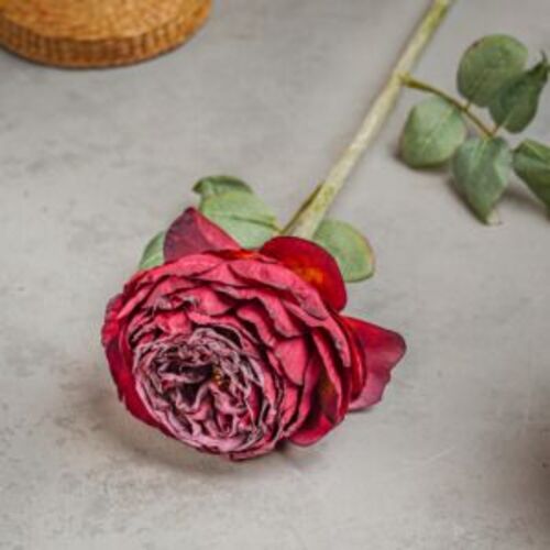 Artificial Marita Flower, Red Color, Height 57 cm | 