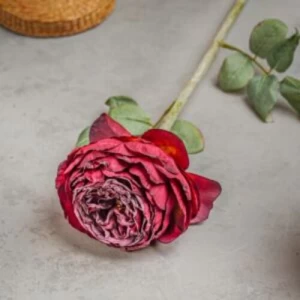 وردة صناعية ماريتا، لون احمر، ارتفاع 57 سم | 