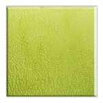 تصميم داخلي للمصعد ستيل، تصميم أنيق، لون اصفر مخضر