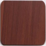 Cladding panel, dark wood color, size 1.25x5.60 m