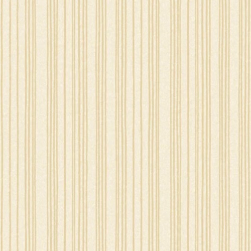 Wall Sheet Beige Color Roll Covers 15 Square Meters | MG 9021-1