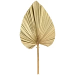 لاغوروس عشب صناعي، لون بني، أبعاد 50 × 26 × 1 سم