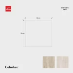 Coliseum Porcelain Flooring, Light Gray Color, Size 75x75 cm, 8mm Thickness