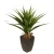 نبات صبار اجاف صناعي، طول 70 سم، لون أخضر  