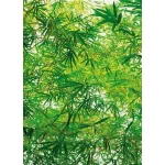 Wall mural for decoration forests design, Size 183 cm × 254 cm, green color