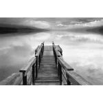 Wall mural for decoration forests design, Size 175 cm × 115 cm, gray color