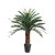 نخله السيكاس الصناعية، لون أخضر 