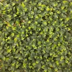 2D Wall Decorative Grass, Size 50x50 cm, Green Color