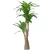 شجرة صناعية درسينا، ارتفاع 180 سم، لون اخضر 