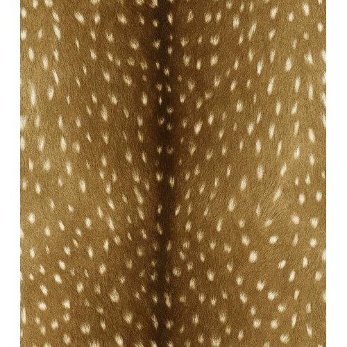 German Patterned Wallpaper 10m x 0.53m Brown, Model 514827 | Balbaid Decor Company