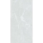 ارضيات بورسلان فضي سطح مطفي، مقاس 60×120 سم، سمك 11 مم  |  شركة اكسا 