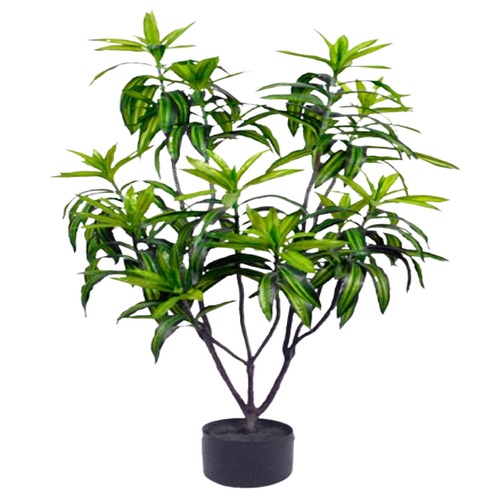 Artificial Dracaena Tree Plant 80 cm Green Color | Luxury line