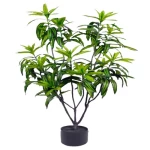 نبات شجرة دراسينا الصناعي، ارتفاع 80 سم، لون أخضر 