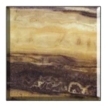 كابينة مصعد فاخرة ، تصميم أنيق، الوان متداخلة