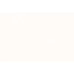 Matte Porcelain Floor Tiles 60×60 cm White Color, Square Shape