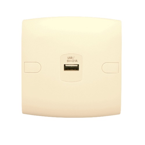 USB Charger Socket 1g 2.1 Amp 7x7 cm Beige ALF Classic | Al Fanar