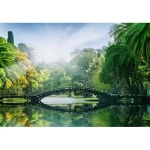 Wall mural for decor tropical design, size 366cm × 254 cm, green color