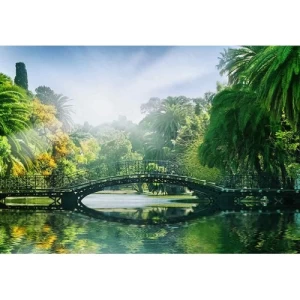 Wall Mural Tropical Design 366cm × 254cm Green | Balbaid Decor Company