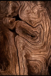 شاهد جميع منتجات الأخشاب