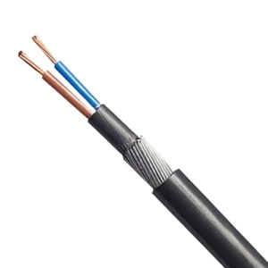BAHRA 6 sq mm 2 Core 0.6/1kV Armored Copper Cable CU/XLPE/SWA/PVC, Stranded, 1000m | Bahra Cables