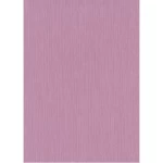 ورق جداري الماني لون زهري، طول 10 م، عرض 0.53 م، موديل 16-10171