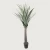 Artificial Decorative Cactus Plant, 190 cm Height,  60 cm width, Green Color