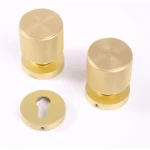 مقبض للأبواب منفصل متحرك ذهبي 