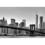 Decorative wall mural cities design, size 366cm × 254 cm, gray color