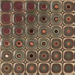 بلاط حوائط انسيرت الربيع الدافئ، مقاس 20×20 سم، سيراميك | شركة المستقبل للسيراميك